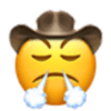 :cowboy_triumph: :cowboy_triumph: